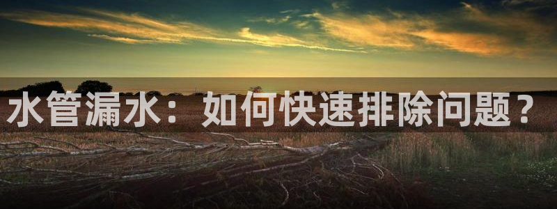 天辰娱乐平台注册