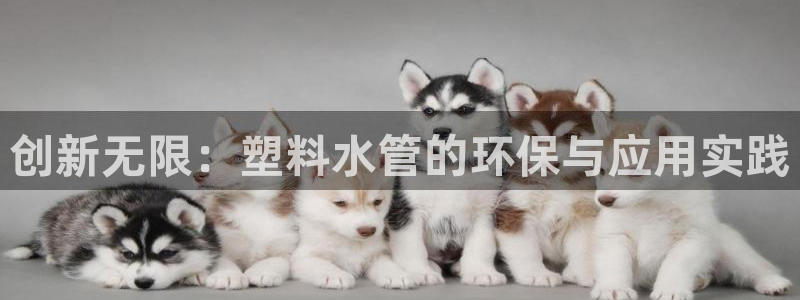 天辰娱乐视频