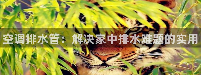 天辰天辰娱乐