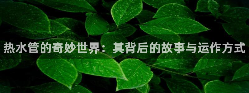天辰娱乐娱乐平台