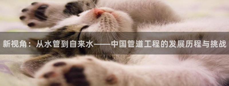 天辰在线娱乐
