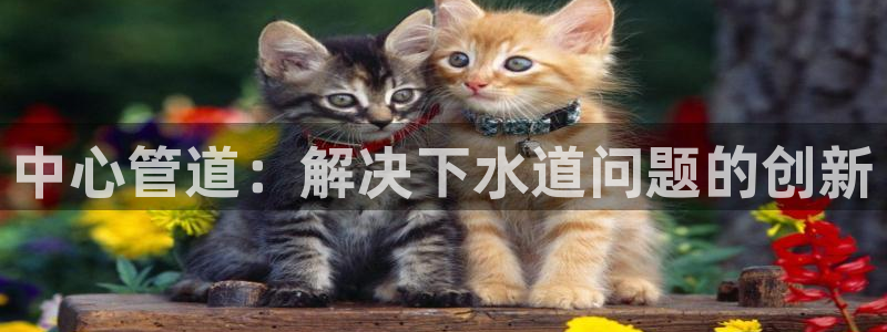 深圳天辰娱乐