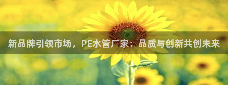 辰天娱乐