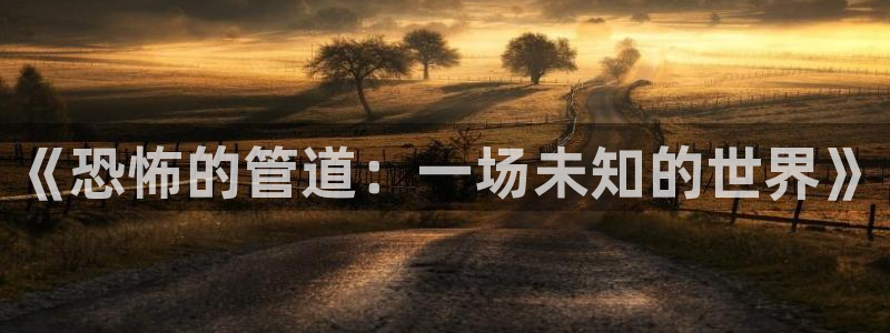 天辰娱乐平台app下载