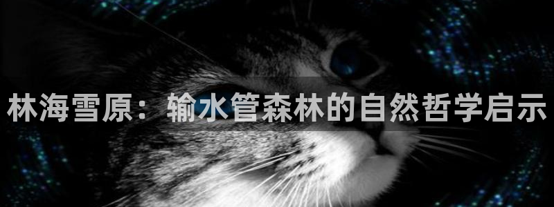天辰娱乐论坛