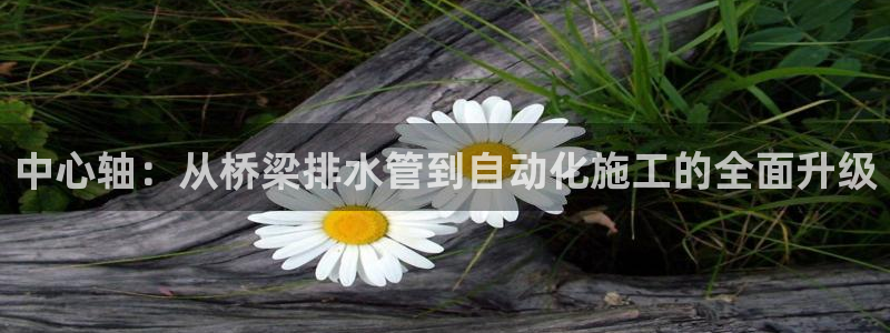 广东天辰娱乐