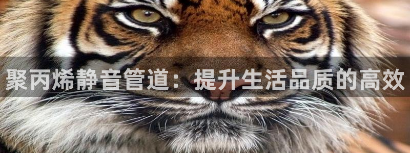 下载天辰娱乐