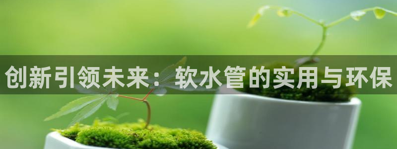 天辰娱乐60447