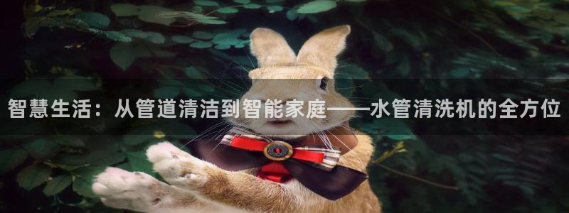 广东天辰娱乐
