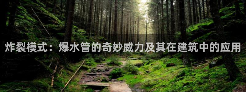 天辰娱乐赌博