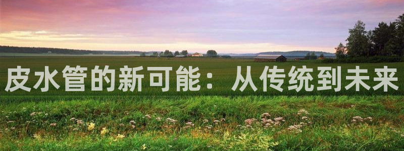天辰娱乐内部
