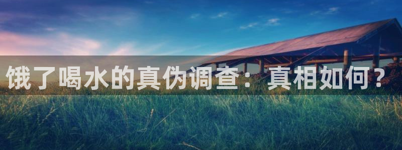 天辰娱乐公司