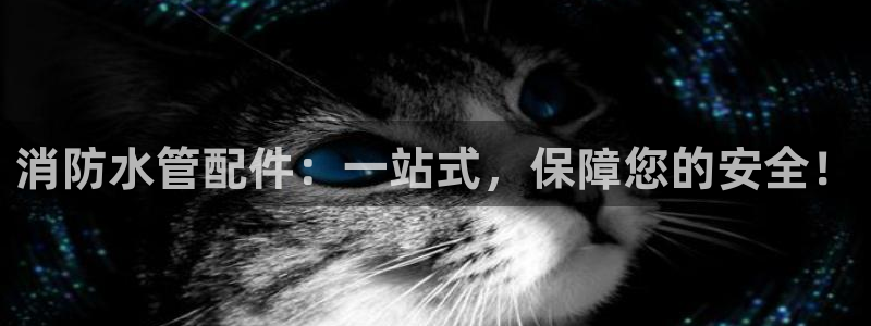 集宁天辰娱乐