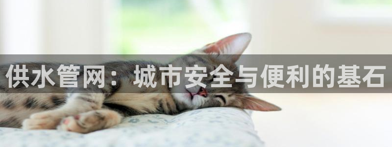 天辰娱乐平台地址在哪里