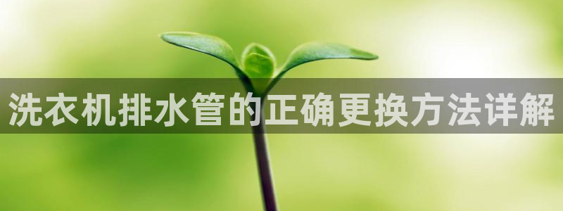 天辰辰娱乐代理