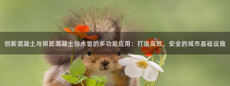 天辰娱乐游客