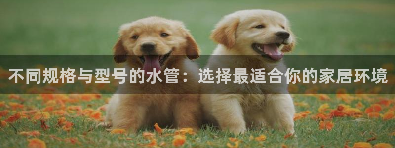 天辰娱乐44616