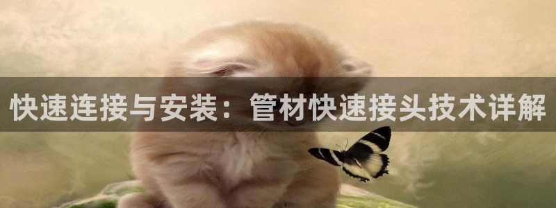 天辰娱乐2