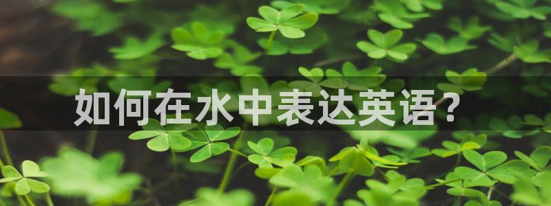 天辰娱乐app