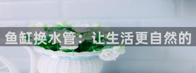 天辰娱乐好吗