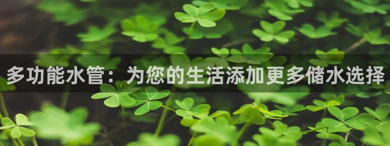 天富天辰娱乐