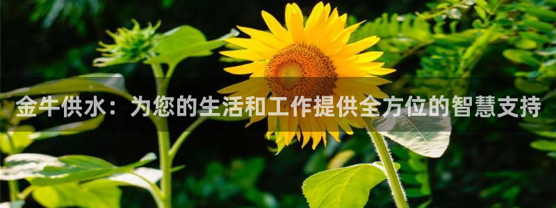 天辰娱乐APP下载