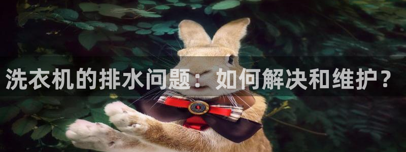 天辰娱乐 44516