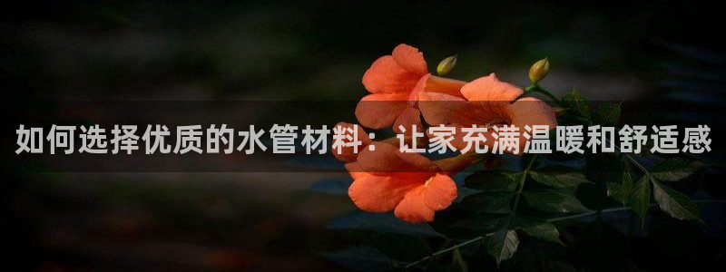 天辰娱乐小姐