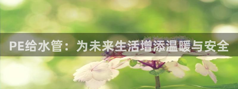 天辰娱乐平台地址在哪里