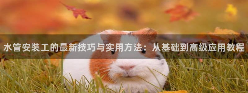 天辰娱乐登录网址