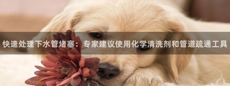 天辰娱乐股东