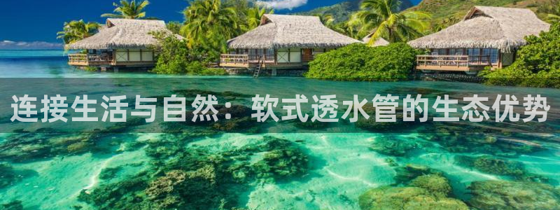 天辰娱乐60447