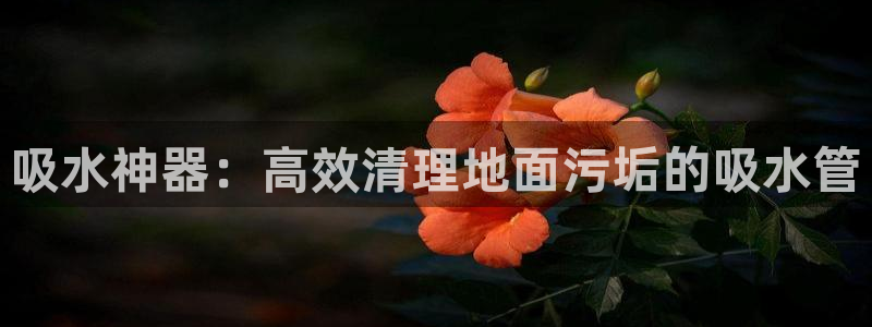 天辰娱乐开户