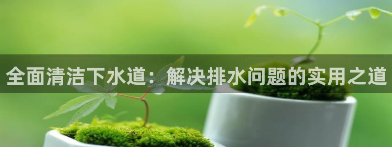 天辰娱乐游客
