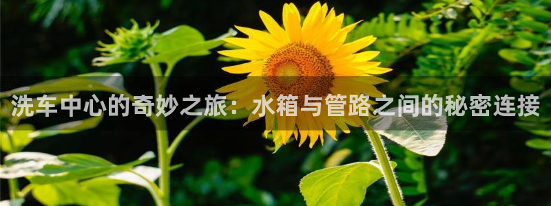 天辰娱乐app