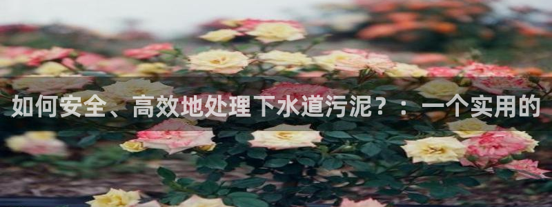 天辰娱乐彩票