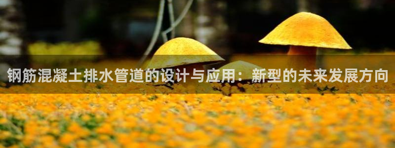 天辰娱乐白屏