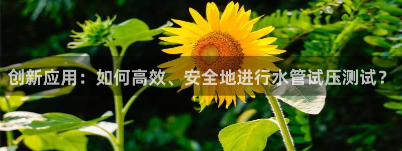 天辰app娱乐