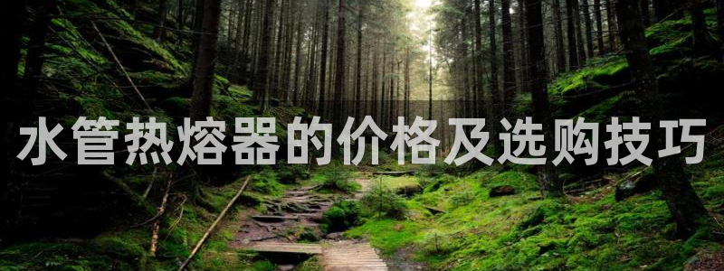 天辰娱乐游客