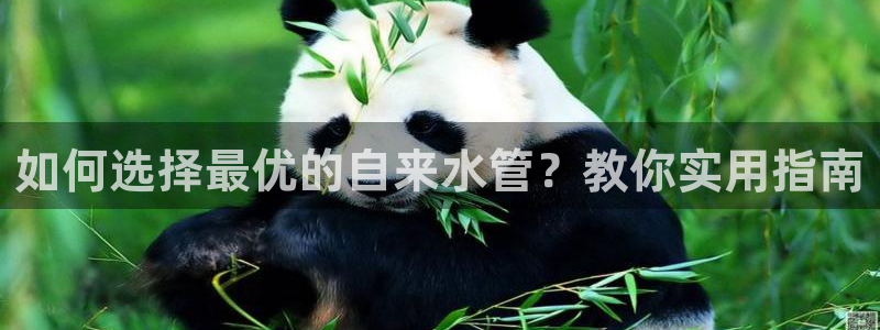 天辰娱乐游戏