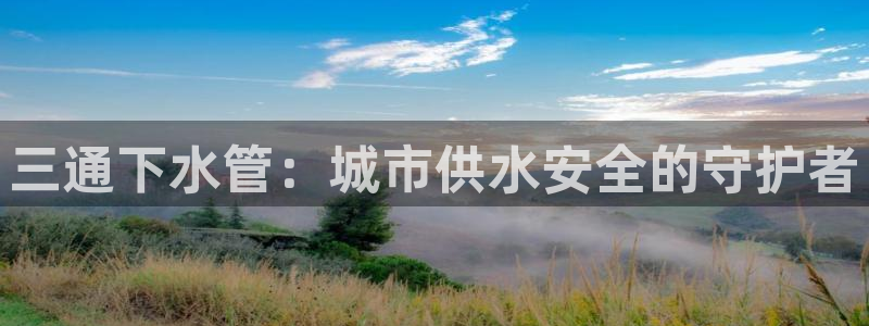 大同天辰娱乐