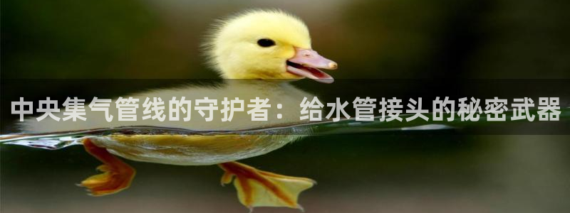天辰娱乐75775