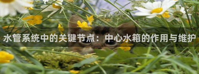 天辰娱乐天辰注册登录