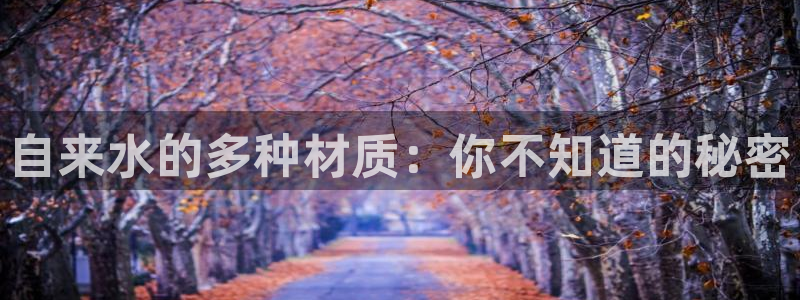 手机上怎么下载天辰娱乐