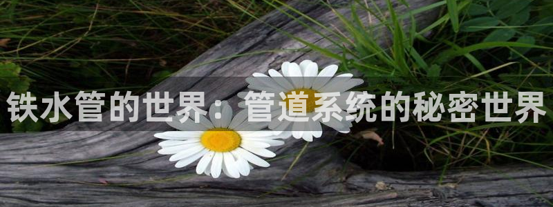 深圳天辰娱乐