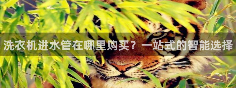 天辰娱乐总管年薪