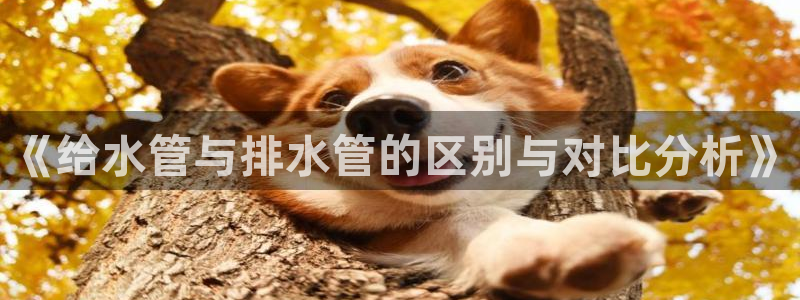 天辰a娱乐