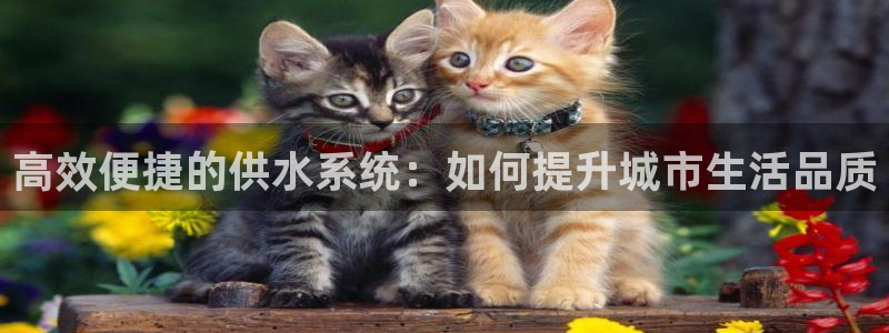 天辰娱乐 . 鱼刺