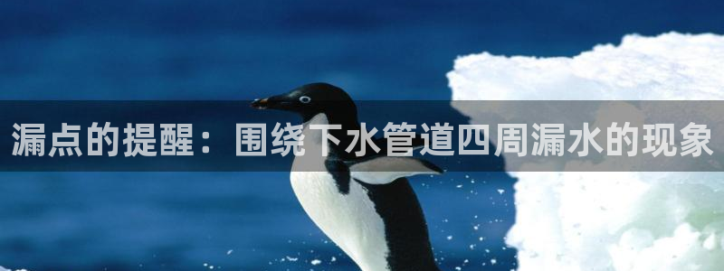 天辰娱乐 首选