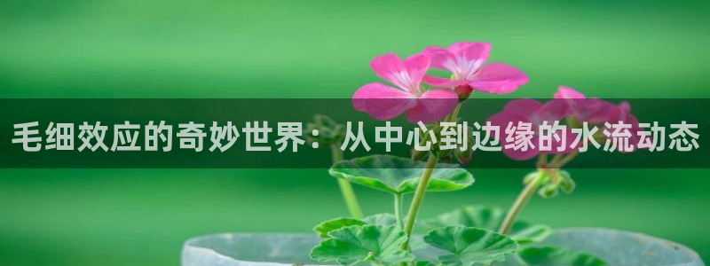 天辰娱乐7天22650